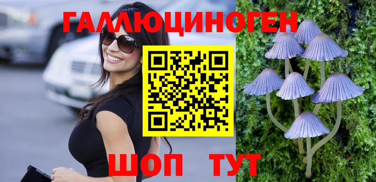 Галлюциногенные грибы Psilocybine cubensis Бутурлиновка