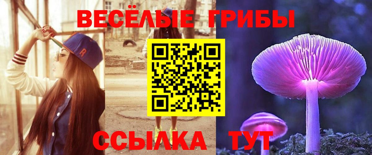 закладка  Вход с VPN  Галлюциногенные грибы Cubensis  Бутурлиновка  Галлюциногенные грибы ЛСД 